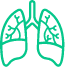 kidney icon