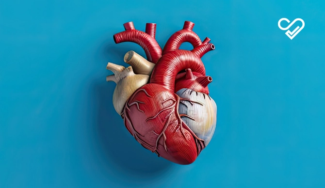 Types of Heart Failure: An In-Depth Exploration