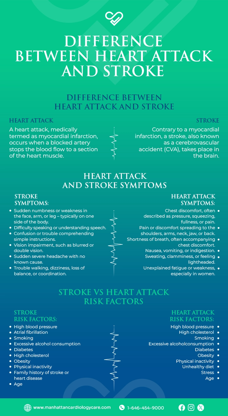 Difference Between Heart Attack And Stroke